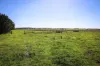 1790 Braidwood Road, Tarago, NSW 2580