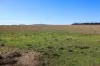 1790 Braidwood Road, Tarago, NSW 2580-Image
