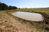 1790 Braidwood Road, Tarago, NSW 2580-Image