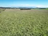 1790 Braidwood Road, Tarago, NSW 2580-Image