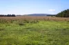 1790 Braidwood Road, Tarago, NSW 2580-Image