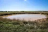 1790 Braidwood Road, Tarago, NSW 2580-Image