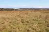 1790 Braidwood Road, Tarago, NSW 2580-Image