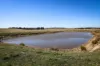 1790 Braidwood Road, Tarago, NSW 2580-Image