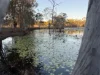 17940 Kennedy Highway, Mount Garnet, Qld 4872-Image