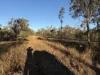 17940 Kennedy Highway, Mount Garnet, Qld 4872-Image