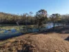 17940 Kennedy Highway, Mount Garnet, Qld 4872-Image