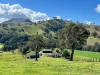 1800 Paterson River Road, Lostock, NSW 2311-Image