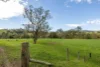 1800 Paterson River Road, Lostock, NSW 2311-Image