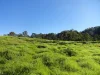 1810 Afterlee Rd, Kyogle, NSW 2474-Image