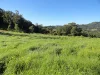 1810 Afterlee Rd, Kyogle, NSW 2474-Image