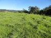 1810 Afterlee Rd, Kyogle, NSW 2474-Image