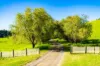 182 Punkalla-Tilba Road, Central Tilba, NSW 2546-Image
