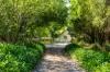 182 Punkalla-Tilba Road, Central Tilba, NSW 2546-Image