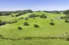 182 Punkalla-Tilba Road, Central Tilba, NSW 2546-Image