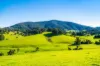 182 Punkalla-Tilba Road, Central Tilba, NSW 2546-Image