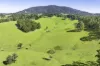 182 Punkalla-Tilba Road, Central Tilba, NSW 2546-Image