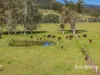 19 Kestevens Road, Bulahdelah NSW 2423-Image