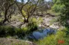1916 Mid Western Highway, Bathampton, NSW 2795-Image