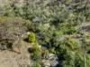 1916 Mid Western Highway, Bathampton, NSW 2795-Image