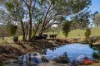 1916 Mid Western Highway, Bathampton, NSW 2795-Image