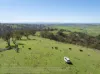 1916 Mid Western Highway, Bathampton, NSW 2795-Image
