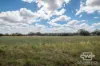 1925 Nullamanna Road, Nullamanna, NSW 2360-Image