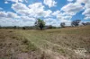 1925 Nullamanna Road, Nullamanna, NSW 2360-Image