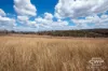 1925 Nullamanna Road, Nullamanna, NSW 2360-Image