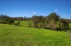 1940 Upton Road, Upton Hill, Vic 3664-Image