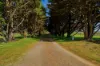 1940 Upton Road, Upton Hill, Vic 3664-Image