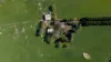 1940 Upton Road, Upton Hill, Vic 3664-Image