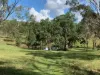 1961A Armidale Road, Coutts Crossing, NSW 2460-Image