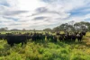 2 Nagambie-Rushworth Road, Bailieston, Vic 3608-Image