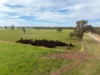 2 Nagambie-Rushworth Road, Bailieston, Vic 3608-Image