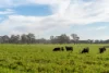 2 Nagambie-Rushworth Road, Bailieston, Vic 3608-Image
