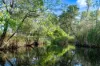 2085 Crystal Brook Road, Crystal Brook, Qld 4800-Image