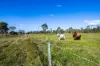 2085 Crystal Brook Road, Crystal Brook, Qld 4800-Image