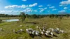2085 Crystal Brook Road, Crystal Brook, Qld 4800-Image