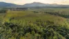 2085 Crystal Brook Road, Crystal Brook, Qld 4800-Image