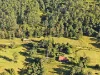 2134 Collins Creek Road, Kyogle, NSW 2474