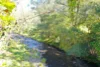 2134 Collins Creek Road, Kyogle, NSW 2474-Image