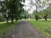 2134 Collins Creek Road, Kyogle, NSW 2474-Image