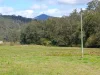 2134 Collins Creek Road, Kyogle, NSW 2474-Image