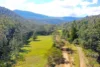 2134 Collins Creek Road, Kyogle, NSW 2474-Image
