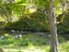 2134 Collins Creek Road, Kyogle, NSW 2474-Image