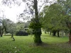 2134 Collins Creek Road, Kyogle, NSW 2474-Image