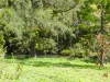 2134 Collins Creek Road, Kyogle, NSW 2474-Image