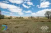 214, - Piggery Road, Red Range, NSW 2370