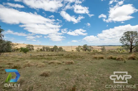 214, - Piggery Road, Red Range, NSW 2370